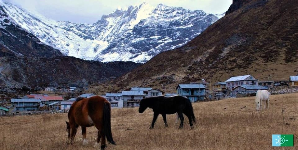 From Kathmandu: 5 Days Langtang Valley Nature Explore Trek - Detailed Itinerary