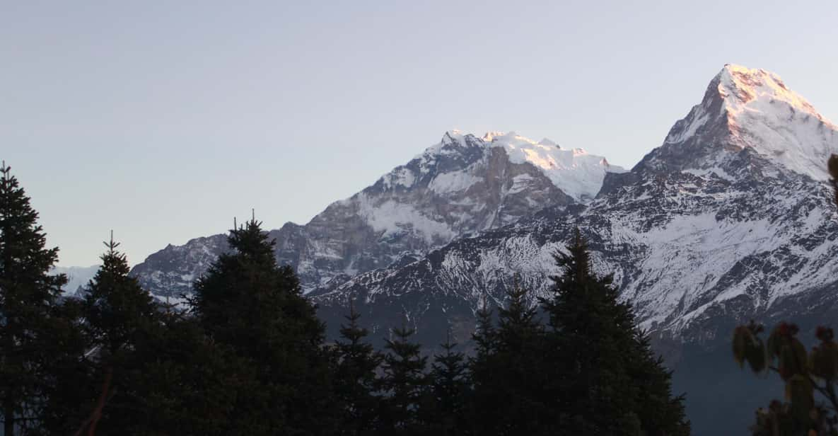 From Kathmandu: 6 Day Poon Hill & Ghandruk Easy Trek - Detailed Itinerary