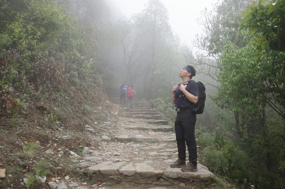 From Kathmandu : 7 Days Mardi Himal Trek - Itinerary Breakdown