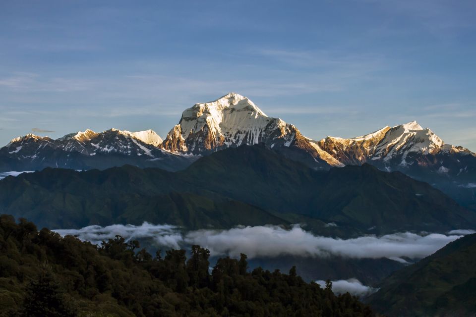 From Kathmandu: Goorepani Poonhill Trekking Trip - Detailed Itinerary