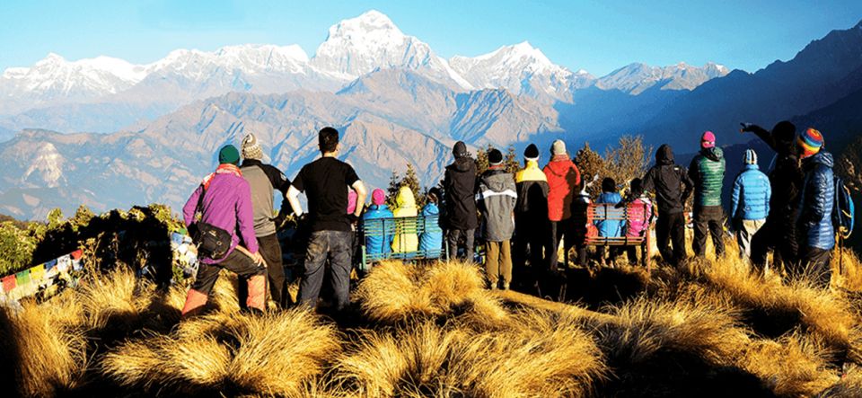 From Kathmandu: Mardi Himal Base Camp - Trekking Highlights and Scenic Views