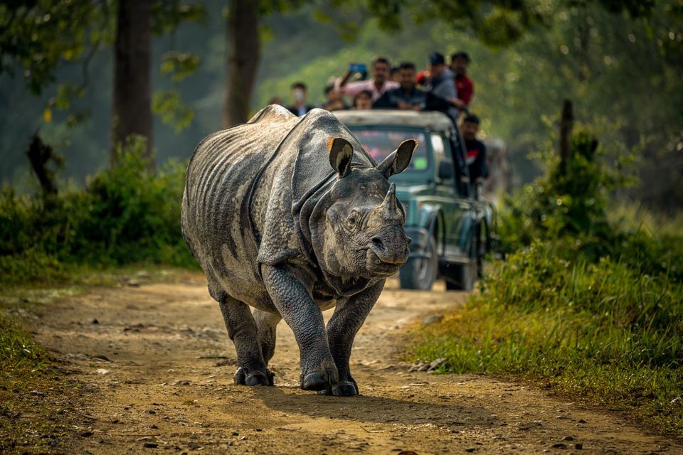 From Kathmandu/Pokhara: 3 Day All-Inclusive Chitwan Safari - Daily Itinerary Details