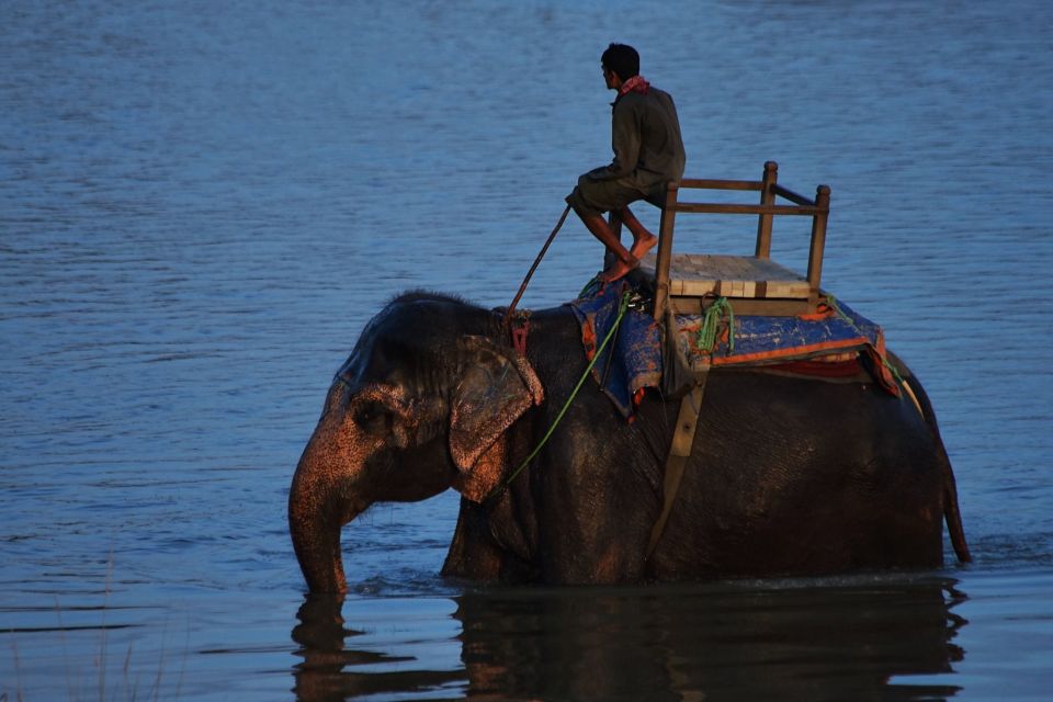 From Kathmandu: Trishuli River Rafting With Chitwan Tour - Exciting Activities Included