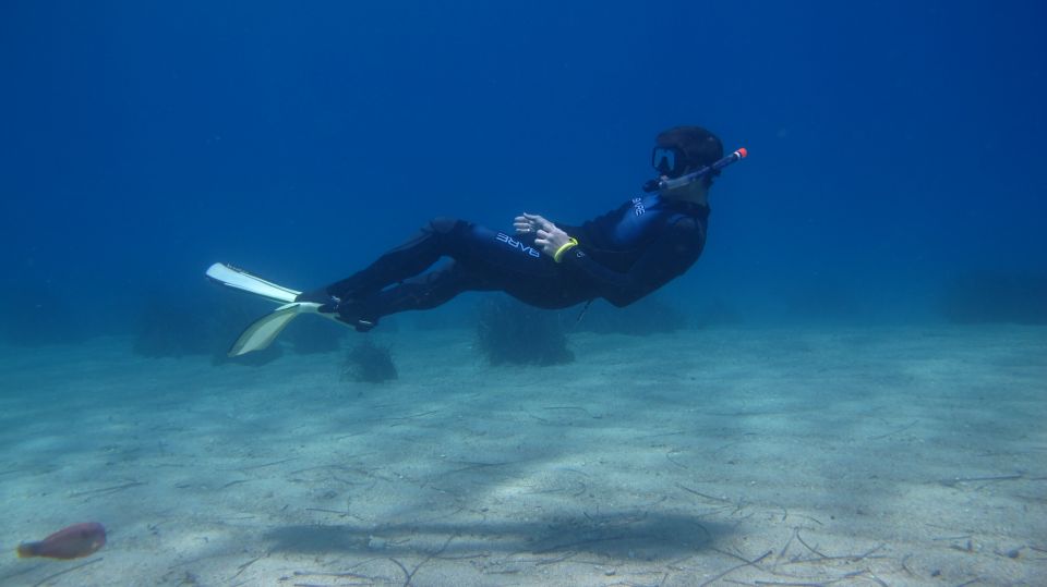 From Kos: Pserimos Island Snorkeling Cruise by Diving Boat - Inclusions