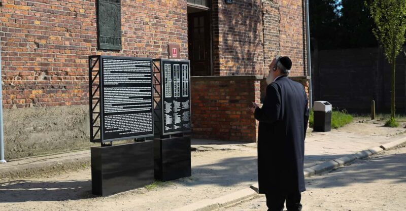 From Krakow: Auschwitz-Birkenau Full-Day Tour With Pickup - Transportation Details