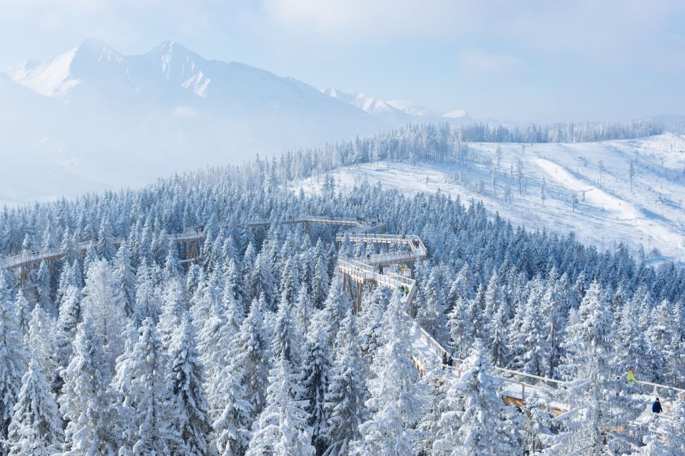 From Kraków: Slovakia Treetop Walk & 4-Hour Ski Pass - Experience Highlights