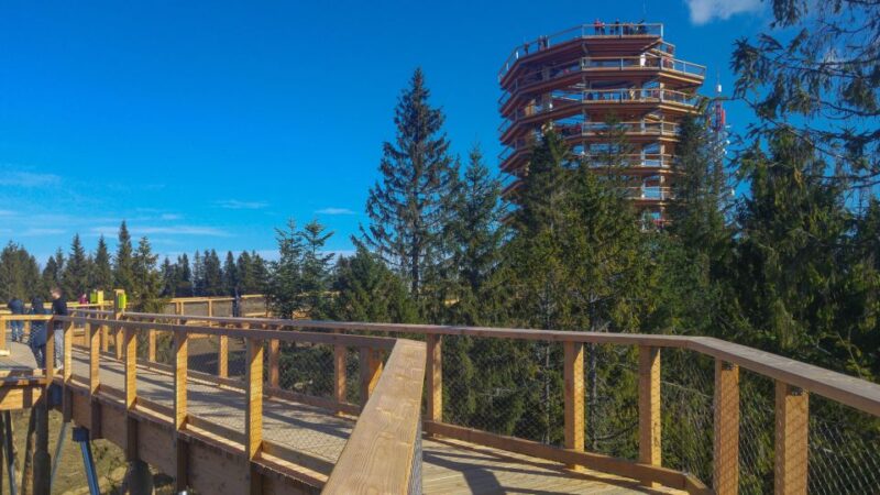 From Krakow: Slovakia Treetop Walk, Zakopane & Thermal Spa - Itinerary and Highlights