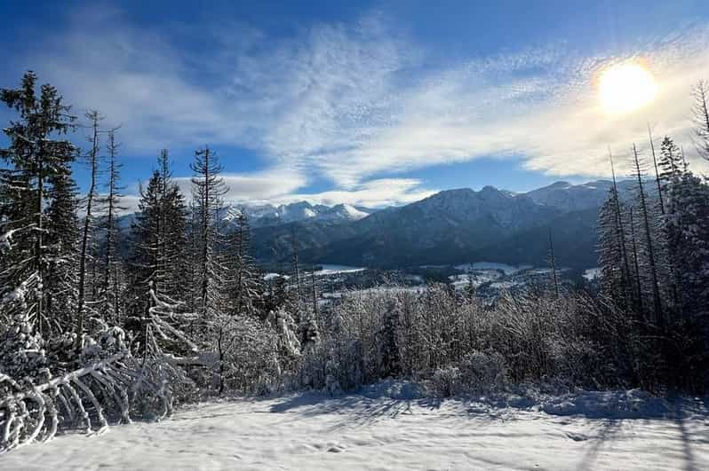 From Krakow: Zakopane Day Trip With Funicular & Food Tasting - Itinerary Highlights