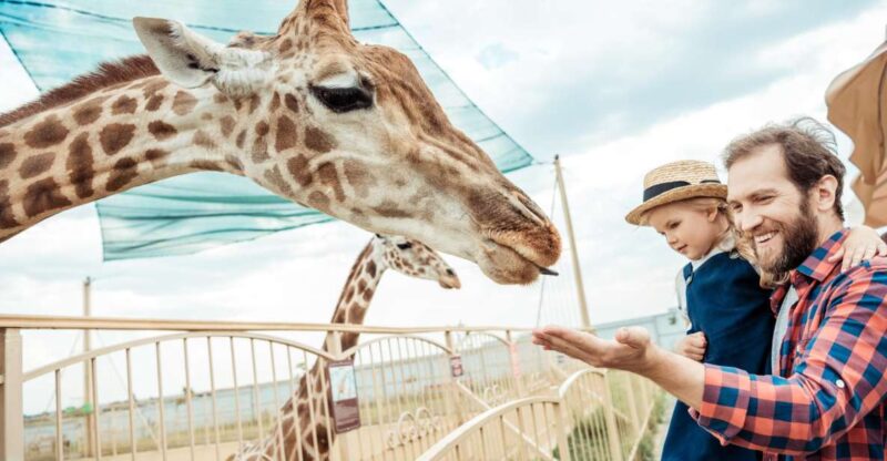 From Krakow: Zoo Trip With Transfer - Zoo Animal Highlights
