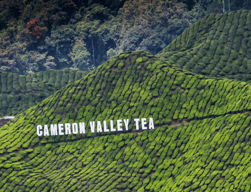 From Kuala Lumpur: Cameron Highlands and Batu Cave Tour - Scenic Lata Iskandar Waterfall