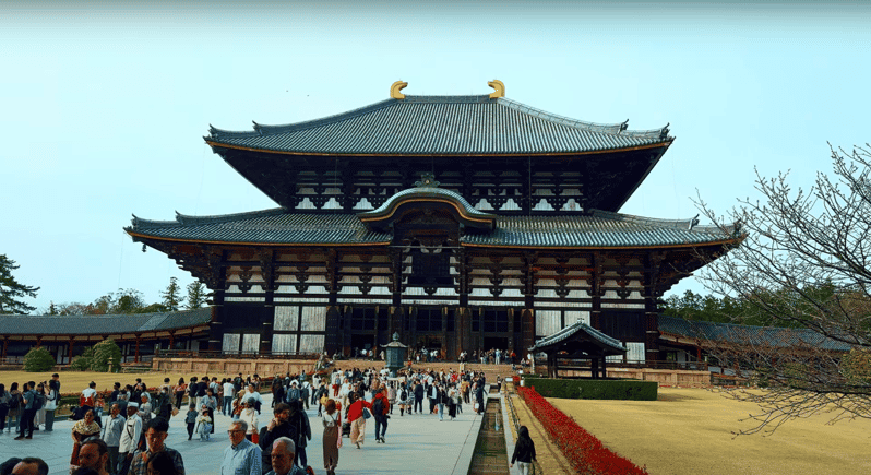 From Kyoto/Osaka: Nara Sightseeing Private Day Tour - Pricing Details