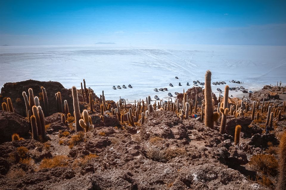 From La Paz: Uyuni and Andean Lagoons 5-Day Guided Trip - Detailed Itinerary