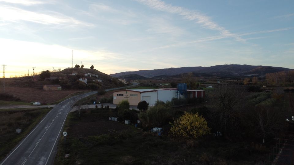 From La Rioja: Tour Olive Groves and Mill With Tasting - Experience Highlights