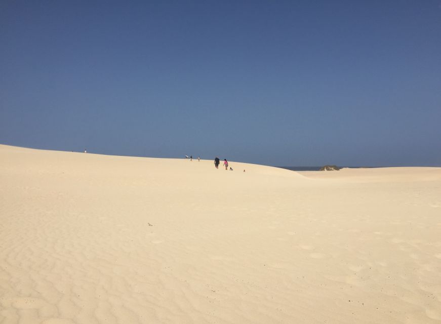 From Lanzarote: Fuerteventura Day Trip - Travel Details