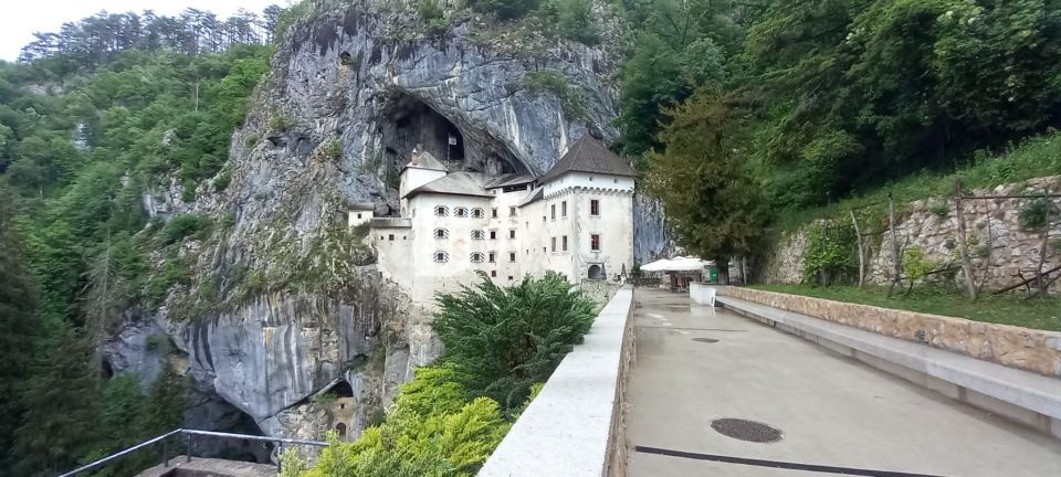 From Ljubljana: Postojna Cave & Predjama Castle Guided Trip - Experience Highlights