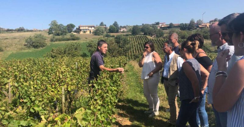 From Lyon: Beaujolais Wine Tasting Day Tour - Highlights of the Experience