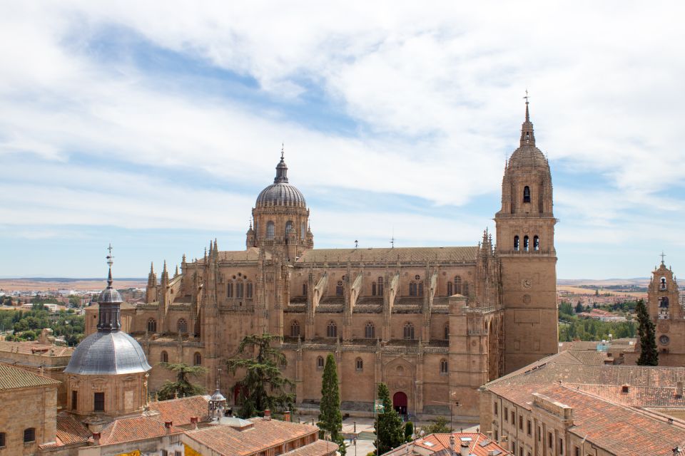 From Madrid: Day Trip to Salamanca With Private Tour - Key Highlights