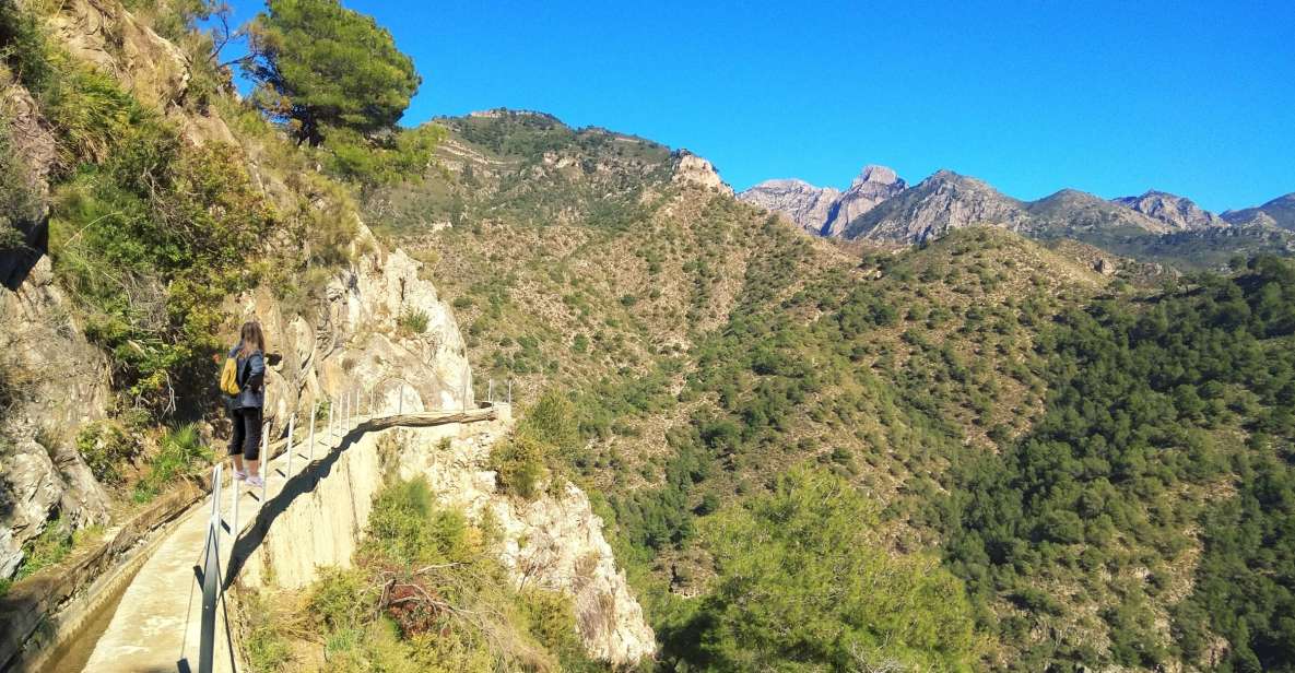 From Málaga: Frigiliana Hiking Tour With Wine & Appetizers - Itinerary and Highlights