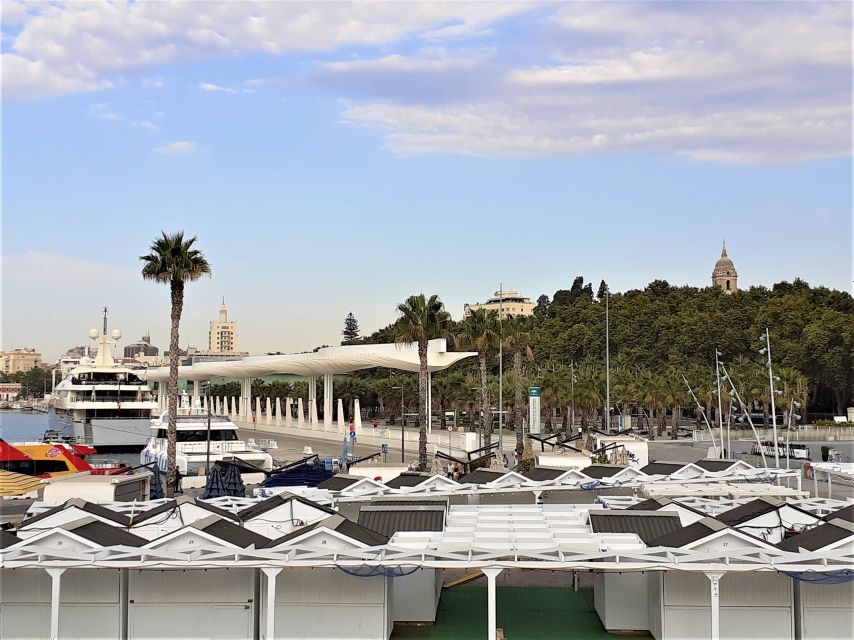 From Marbella: Malaga Private Tour - Itinerary and Experience