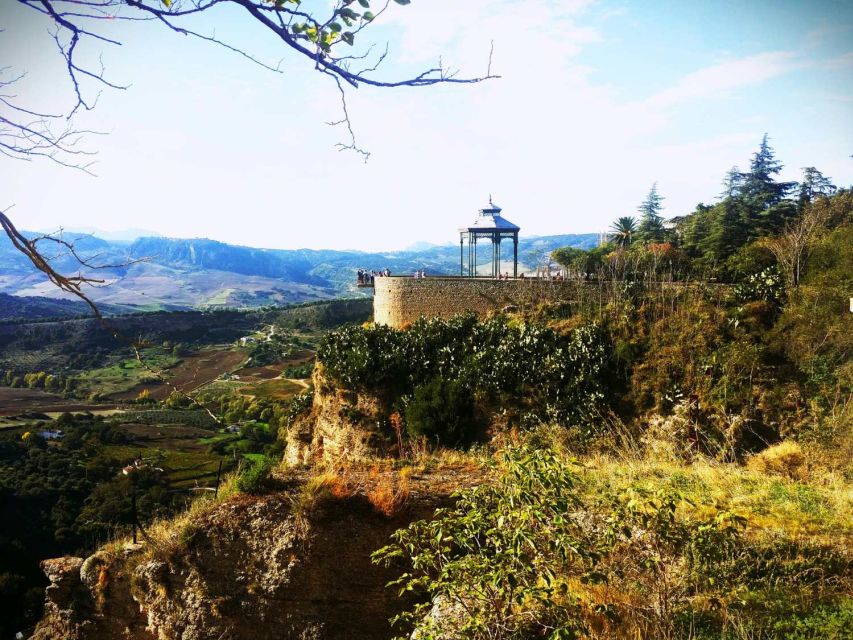 From Marbella: Ronda & Setenil De Las Bodegas Private Trip - Itinerary Details