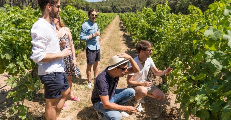 From Marseille: Bandol and Cassis Wine Tasting Tour - Itinerary Highlights