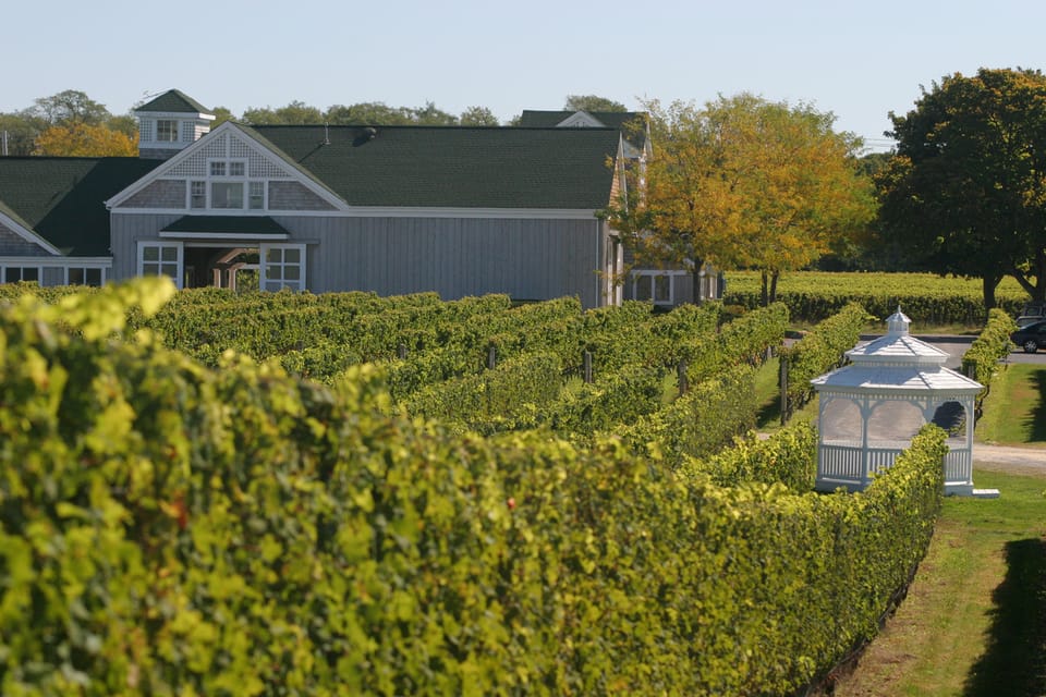 From Mattituck: Guided Brewery and Vineyard Tour by Bicycle - Experience Highlights