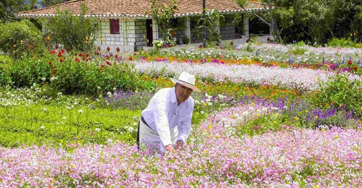 From Medellín: Colombian Flower Farm Private Full-Day Tour - Highlights of the Experience