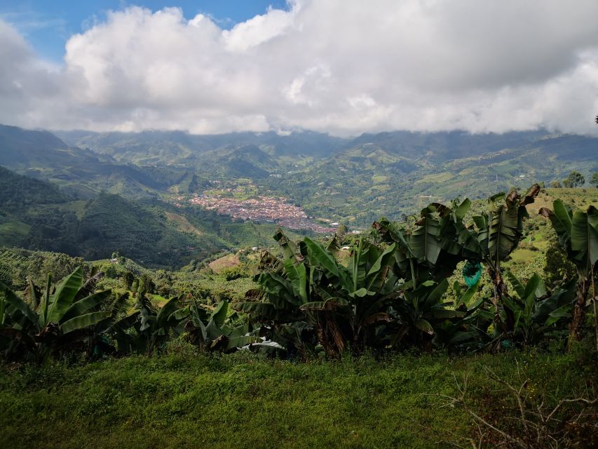 From Medellín: Jardín Town and Coffee Farm Full-Day Tour - Itinerary Highlights