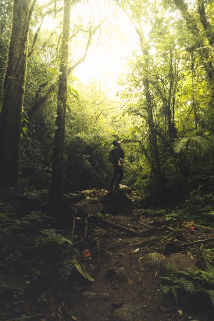 From Medellin Waterfalls: Guided Hiking Tour in Nature - Highlights of the Experience