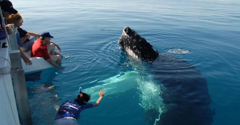 From Mirissa: Private Whale Watching Tour With Sunset - Experience Highlights