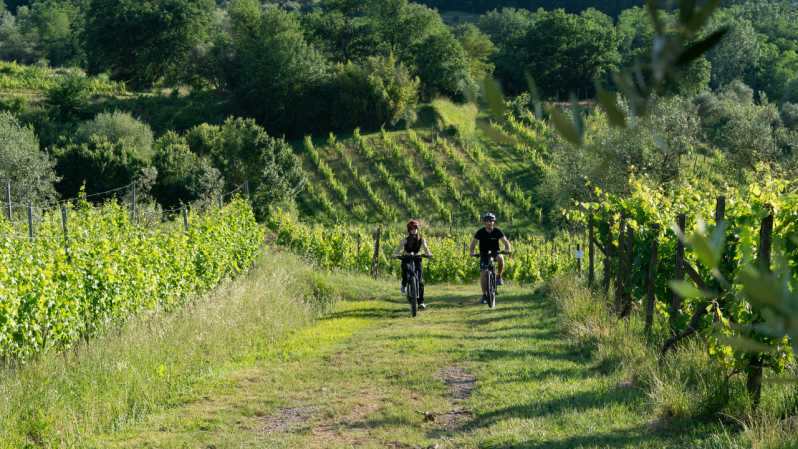 FROM MONTECATINI TERME: E-BIKE TOUR WITH WINE TASTING - Itinerary and Experience