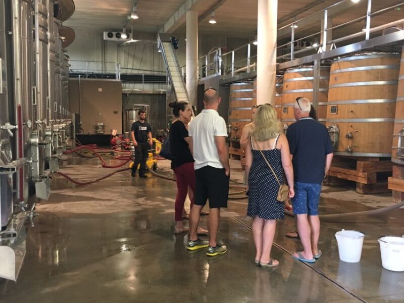 From Montpellier: Half-Day Vineyard & Pic Saint-Loup Tour - Itinerary Details