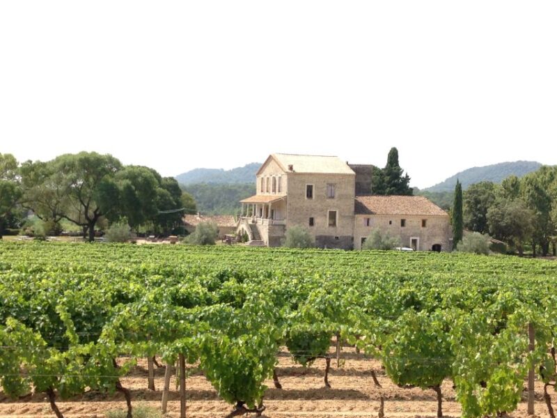 From Montpellier: Pic Saint-Loup Wine and Food Tour - Itinerary Highlights