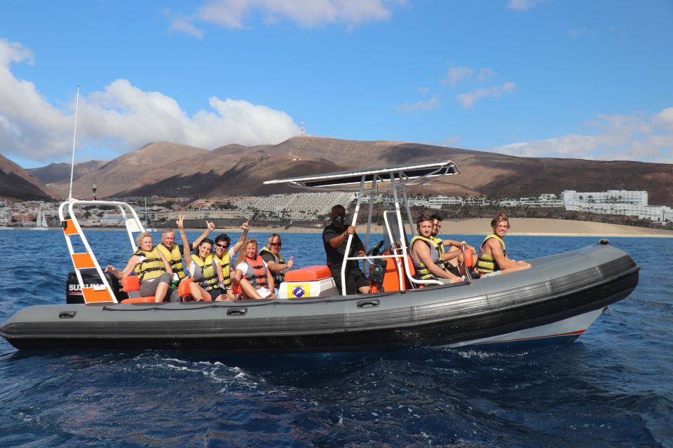 From Morro Jable: Dolphin and Whale Watching by Speedboat - Highlights of the Experience