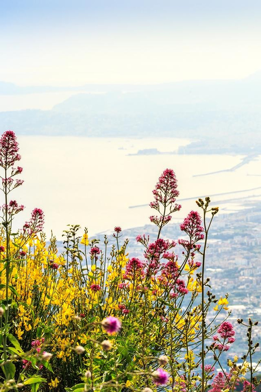 From Naples Port: Pompeii and Mt. Vesuvius Day Trip - Highlights of the Trip