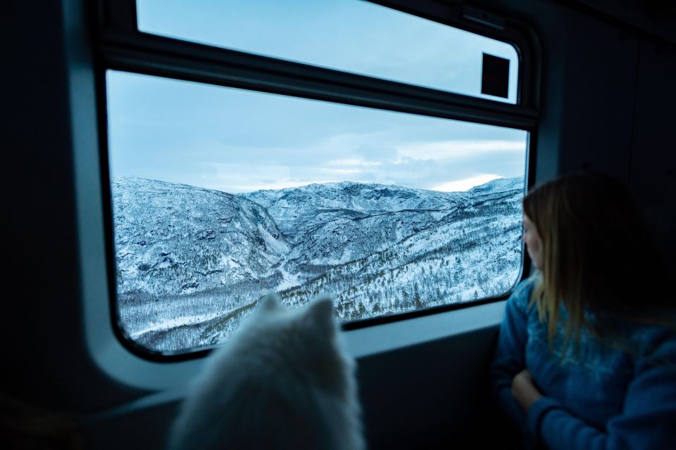 From Narvik: Round-Trip Arctic Train Ride on Ofoten Railway - Booking and Cancellation Process