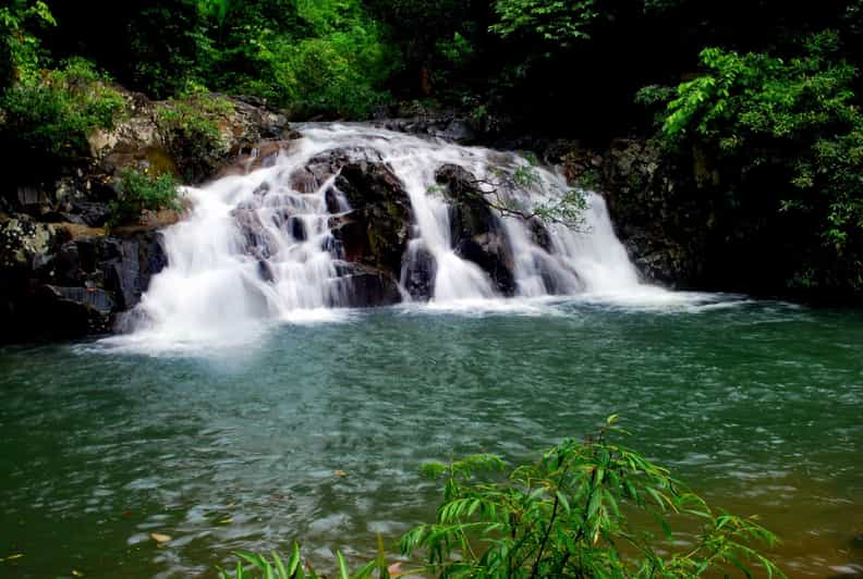 From Nha Trang: Full Day Trip to Yang Bay Waterfall - Highlights and Activities