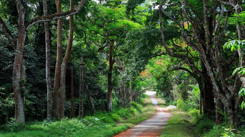 From Ninh Binh: Cuc Phuong National Park 1-Day Small Group - Itinerary Highlights