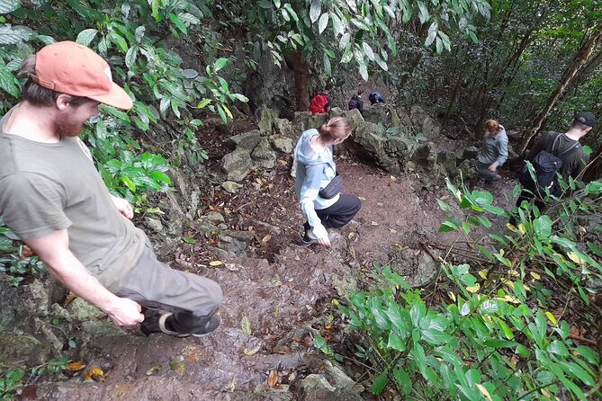 From Ninh Binh Cuc Phuong National Park One Day Trekking Tour - Daily Itinerary Highlights