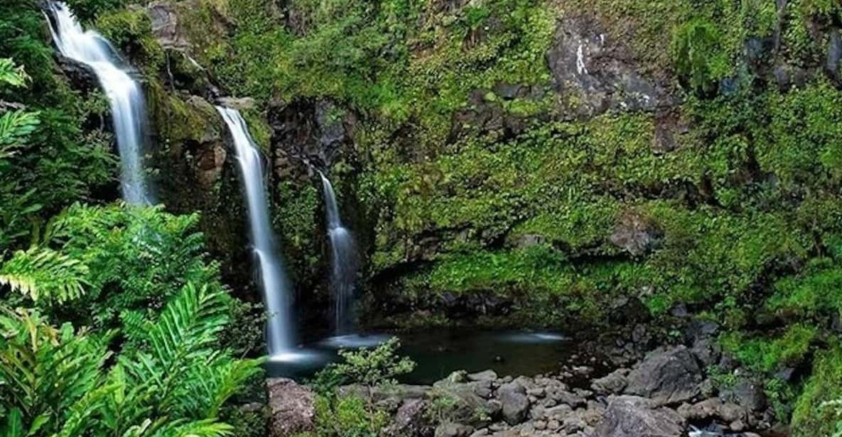 From Oahu: Road to Hana Rainforest and Waterfall Experience - Itinerary Highlights