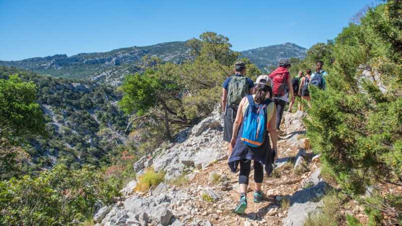 From Orosei/Dorgali: Hike to Cala Luna - Guided Day Trip - Itinerary Highlights