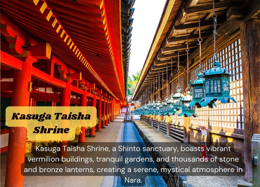 From Osaka/Kyoto: Kyoto & Nara Private Sightseeing Day Trip - Itinerary Highlights