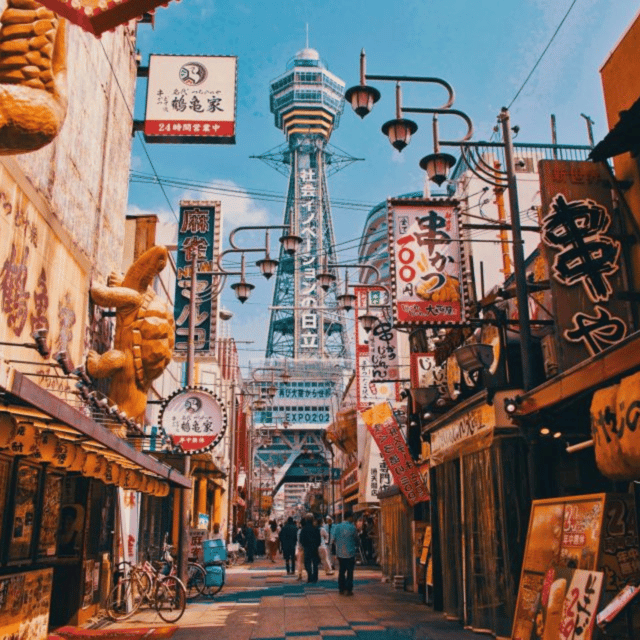 From Osaka: Private Customisable Osaka Full Day Tour By Car - Pickup Locations and Itinerary