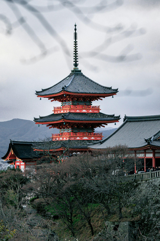 From Osaka to Nara to Kyoto: A Private Day Tour With Driver - Itinerary and Transportation
