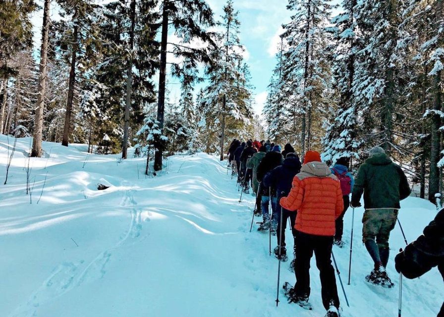 From Oslo: Oslomarka Forest Guided Snowshoeing Tour - Itinerary Details