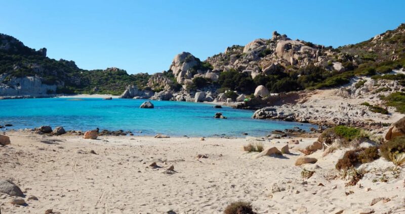 From Palau: La Maddalena Cruise With Lunch & Drinks - Inclusions and Amenities