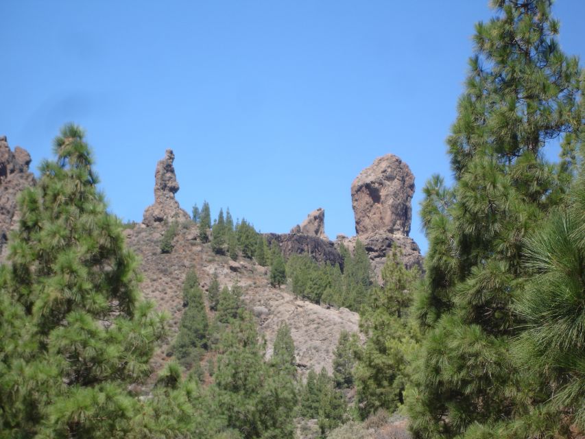 From Palmas: Pico De Las Nieves & Roque Nublo Full-Day Trip - Itinerary Highlights