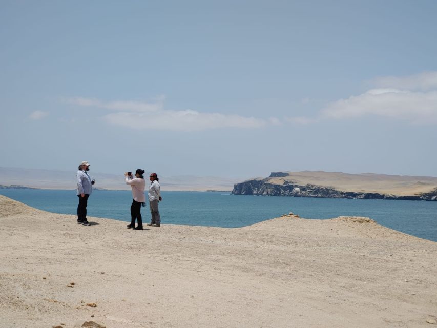 From Paracas: Ballestas Island Cruise & Paracas Reserve Tour - Itinerary Highlights