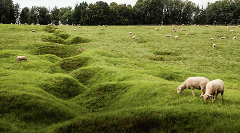 From Paris : WWI Somme Battlefields With Licensed Guide - Itinerary and Highlights
