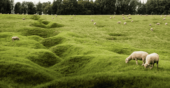 From Paris : WWI Somme Battlefields With Licensed Guide - Flexible Booking and Cancellation